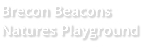 Brecon Beacons Natures Playground